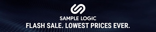 Banner Sample Logic Exclusive Flash Sale