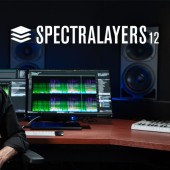 Steinberg Spectralayers 12